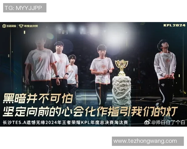 TES战队成长之路王者荣耀总决赛的辉煌历程与背后故事